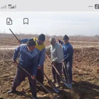 نیازمند کارگر در روستا