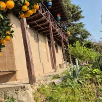 کلبه جنگلی دنج