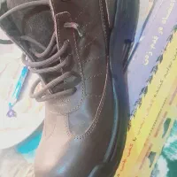 کفش ایمنی مهندس