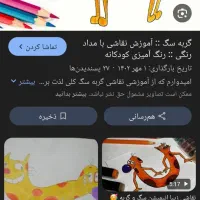 گربه پیداشده