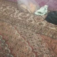 فروش-خانه-ویلایی