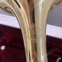 ترومپت سوزوکی با هارد کیس آلومینیومی|سازهای بادی|کرمان, |دیوار