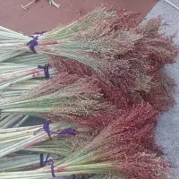 جارو ذراتی|لوازم نظافت|الشتر, |دیوار