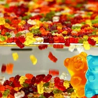 کارگر آقا و حراست با جای خواب غذا(کارخانه پاستیل)