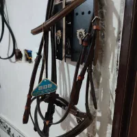 تجهیزات اسب. مارک اشتوپن وکیفر