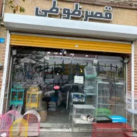 وسایل جانبی حیوانات|لوازم جانبی حیوانات|تبریز, |دیوار