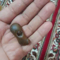 مهره سلطانی فرعونی