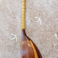 تنبور حرفه ای رهنما