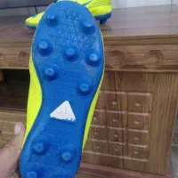 کفش ورزشی چمن|کیف، کفش، کمربند|نیشابور, فردوسی جنوبی|دیوار