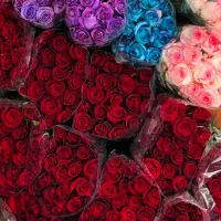 ۲۰شاخه رز هلندی با تزئین کامل ۸۵۰ت