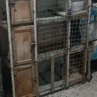 قفس ۳ طبقه کفتر  جفتگاه