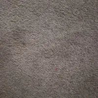 کسی ک موکت بشوره