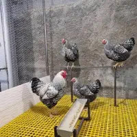 اسلت