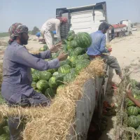 فروش تراکتور 401تر حد تمیز فروش بدلیل چک