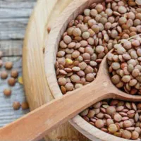 عدس درجه ۱تازه تناژبالا