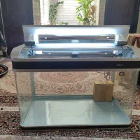 آکواریوم