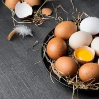 فروش ویژه تخم مرغ محلی