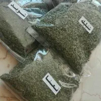 قرمه.نعنا.شوید.خورد شده.سرخ شده|خوردنی و آشامیدنی|قرچک, مهدیه|دیوار