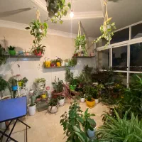 ۱۹۳ متر / دو پارکینگ سندی / غرب باقری|فروش آپارتمان|تهران, تهرانپارس غربی|دیوار