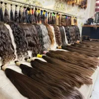 مرکز اصلی مو