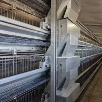 فروش خط تمام مکانیزه قفس پرورش بلدرچین|ماشینآلات صنعتی|فامنین, |دیوار