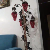 انگور دکوری