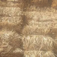 پرس گندم سفال