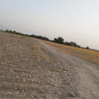 اجاره دادن زمین کشاورزی خورموج