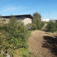 زمین مسکونی هزار متری