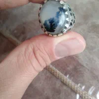 انگشترشجرطبیعی باوزن ۱۹گرم