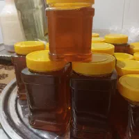 عسل گون|خوردنی و آشامیدنی|قم, مهدیه|دیوار