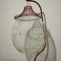 قفس پرنده|لوازم جانبی حیوانات|مشهد, حضرت حجت|دیوار