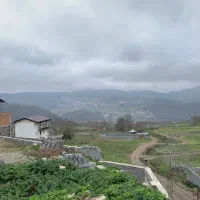 زمین مسکونی ۶۵۰ متر ، روستا اتو