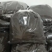 چای ممتاز لاهیجان