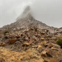 سم پاشی باغات شما