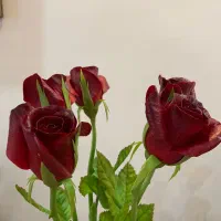 گل های  انعطافی|صنایع دستی و سایر لوازم تزئینی|تهران, تهرانپارس غربی|دیوار