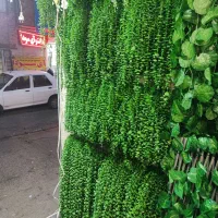 اویز شمشاد|گل مصنوعی|قم, نیروگاه|دیوار