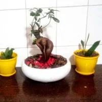 نخل مرداب|گل و گیاه طبیعی|پردیس, فاز ۱|دیوار
