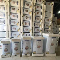 آبگرمکن برقی نصب ارسال (گارانتی)