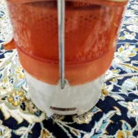 آب میوه گیری|آبمیوه‌گیر و آب‌مرکبات‌گیر|هشتگرد, سعید آباد|دیوار