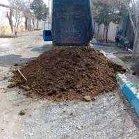کود‌ گاوی درجه یک ،خاک باغچه|خدمات باغبانی و درختکاری|گلبهار, نوبهار|دیوار