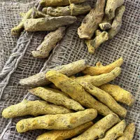 استخدام نیروی کار