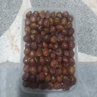 خرمایی خاصوی|خوردنی و آشامیدنی|شیراز, مسلم|دیوار