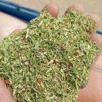 خارشتر