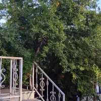 سوئیت مبله نوساز حیاط دار . همکف فقط خانواده|اجارهٔ کوتاه‌مدت آپارتمان و سوئیت|صدرا-فارس, فاز ۱|دیوار