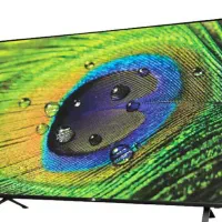 تلیویزیون لایف۲۴ماهه