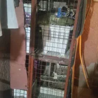 قفس فلزی برای کفتر و قفس چوپی محکم برای کفتر