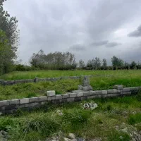 فروش زمین خوش قواره رودپشت|فروش زمین و ملک کلنگی|نشتارود, |دیوار