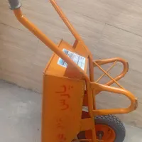 فرغون پارس اصل
