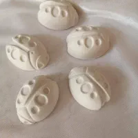 مجسمه گچی کفشدوزک